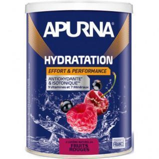 Energiegetränk Apurna Fruits rouges - 500g