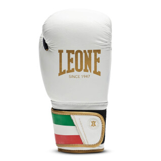 Boxhandschuhe Leone Italy 14 oz