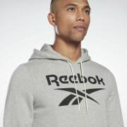 Hoodie Reebok Identity Big Logo
