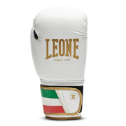 Boxhandschuhe Leone Italy 10 oz