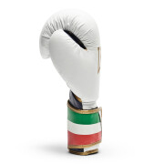 Boxhandschuhe Leone Italy 16 oz