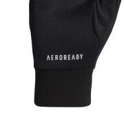 Handschuhe adidas Terrex Aeroready
